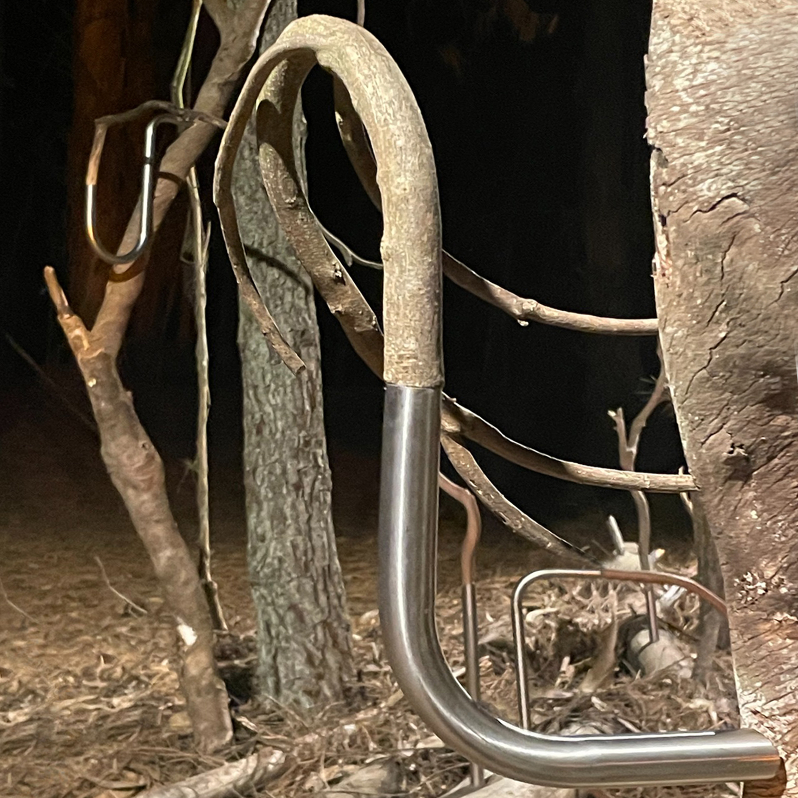 570955d1 2487 473f 9599 a79882c3d0f0