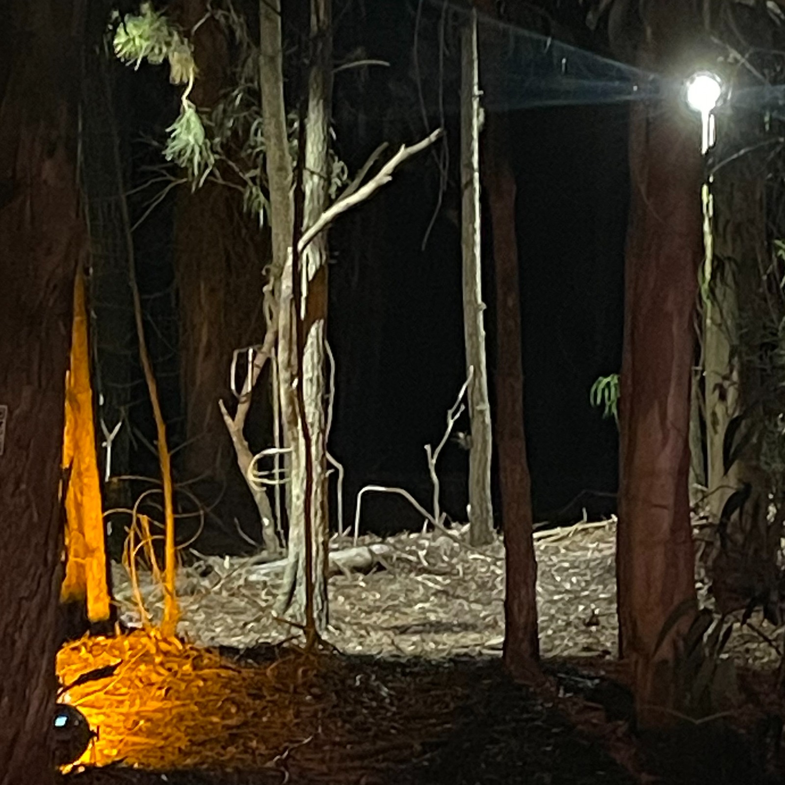 Ab366405 3299 4607 9b8b af7ab21f8027